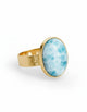 The Ocean Ring